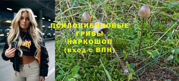 тгк Алексин