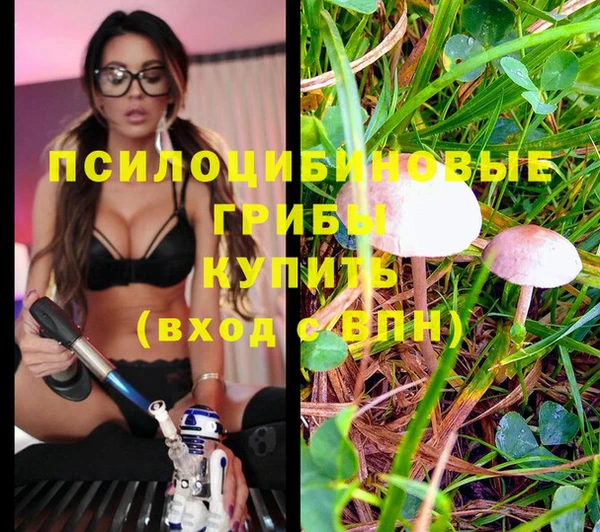 гидропоника Арсеньев