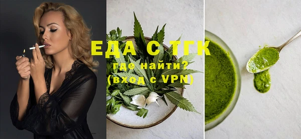 индика Володарск
